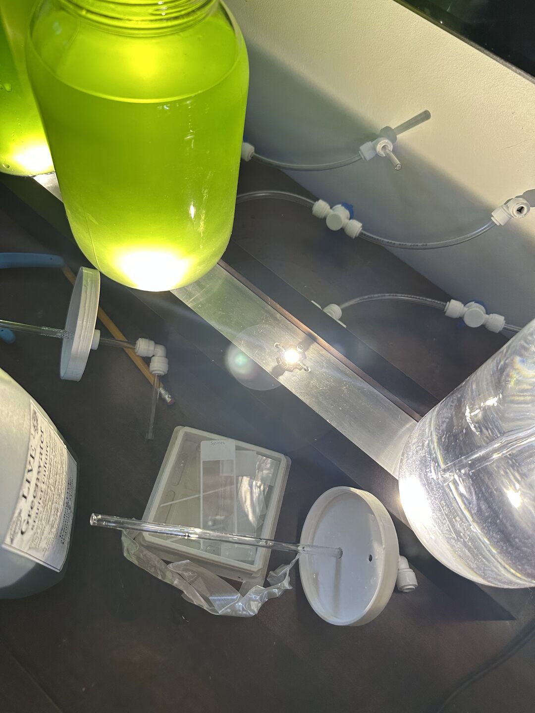 Adding greenwater to the jars you can see the polycarboante tubes