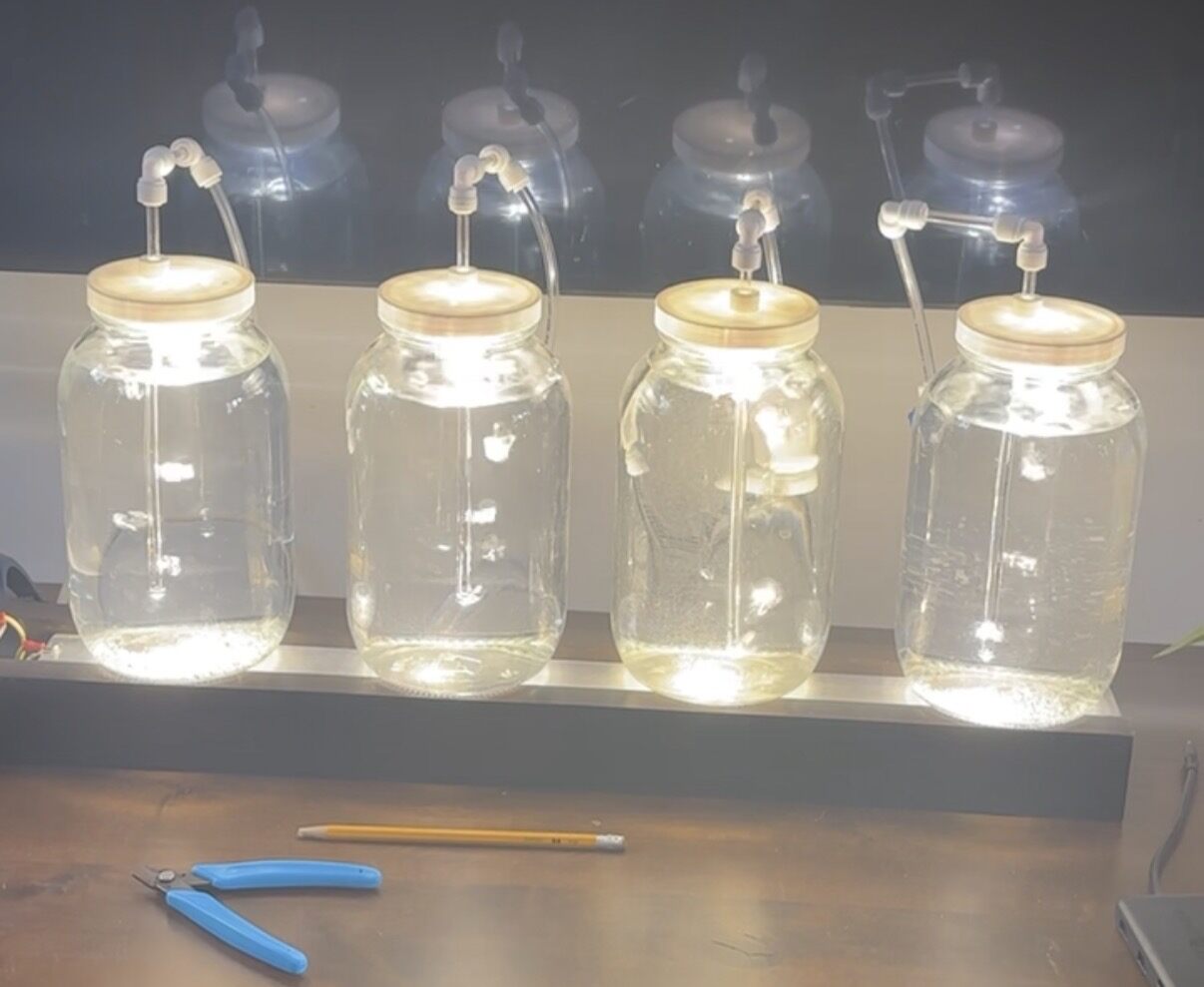 The algae grow system filled with water only