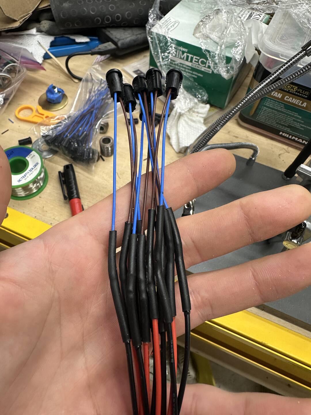 Lamp sockets wired