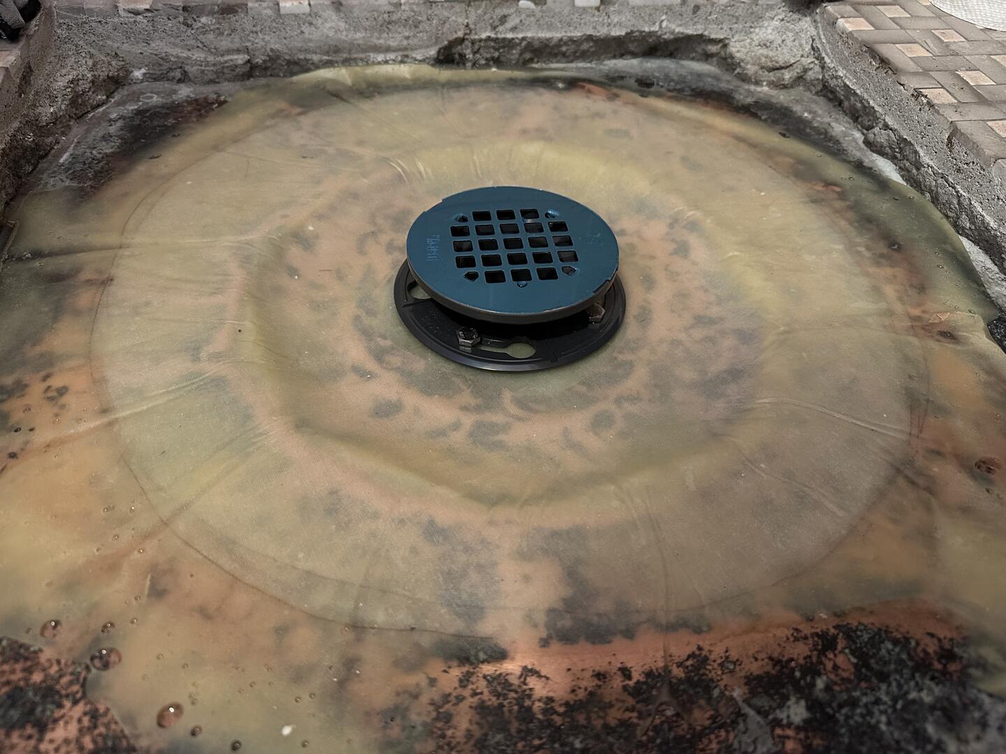 Adjustable drain screen installed